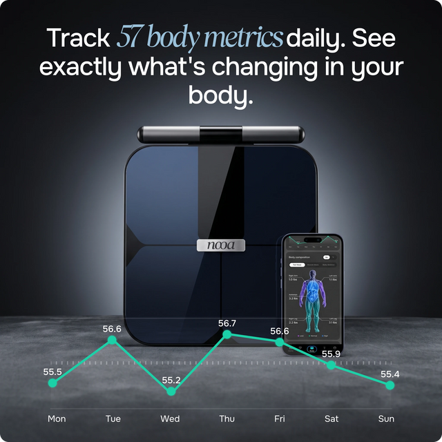 NOOA Scale